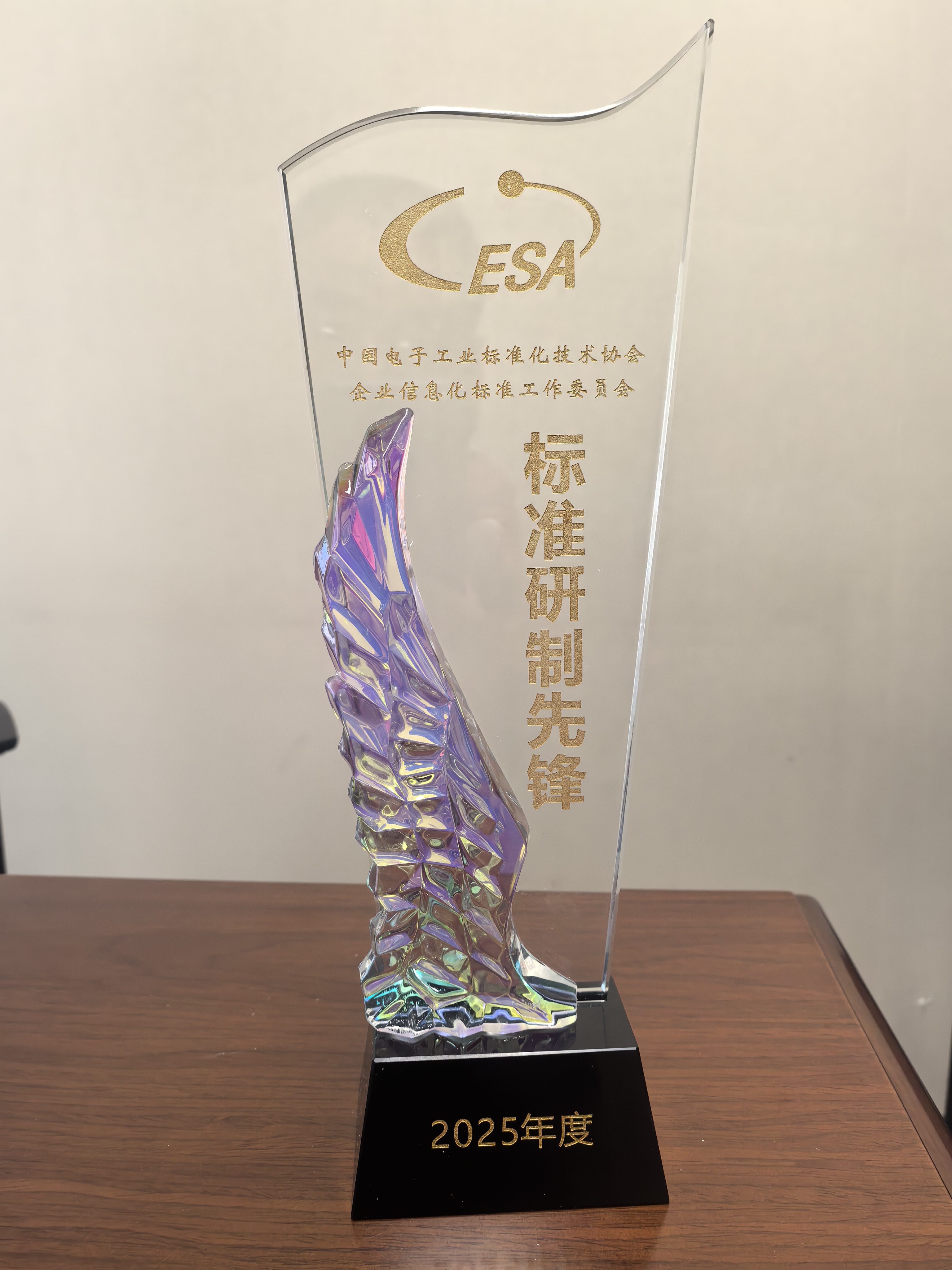 企业信息化标准工作委员会荣获先锋奖：电子工业标准化协会年度表彰揭晓